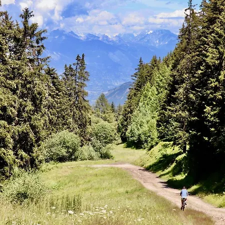 Le Cret Haute Nendaz